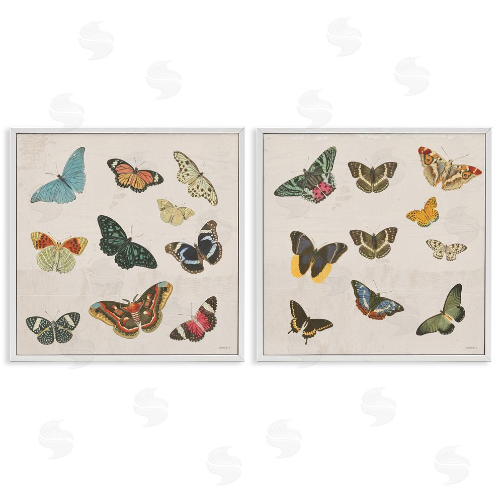 Sundance Graphics Collection of Vintage Butterflies White Framed Giclee Wall Art Print