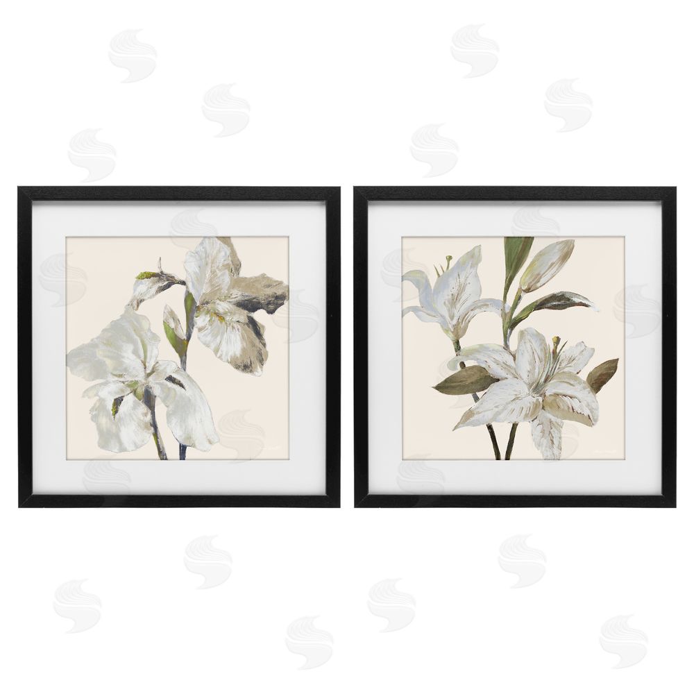 Sundance Graphics Irises and Lilies Soft Beige Black Framed Print Under Glass Wall Art