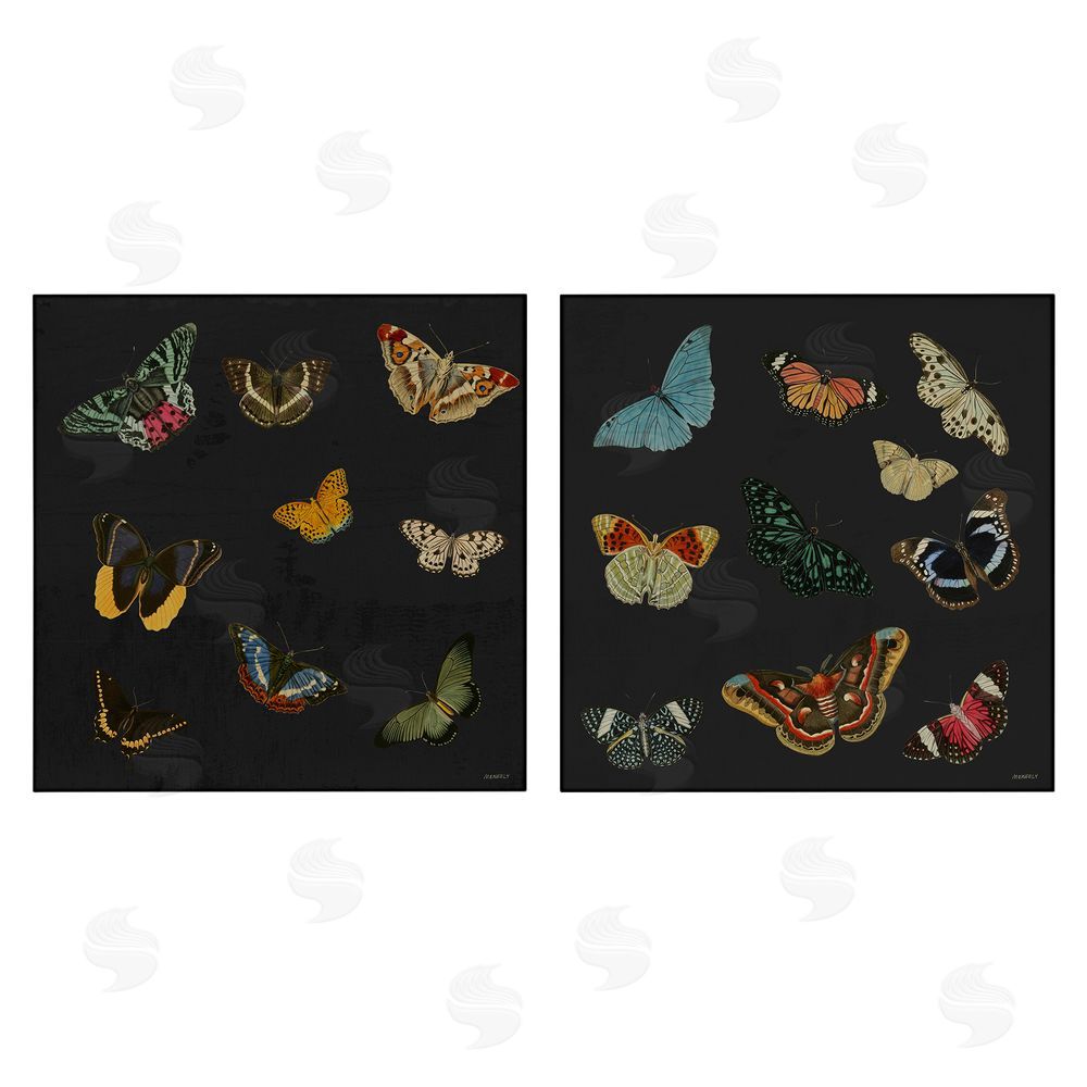 Sundance Graphics Entomology Collection on Black Canvas Wall Art Print