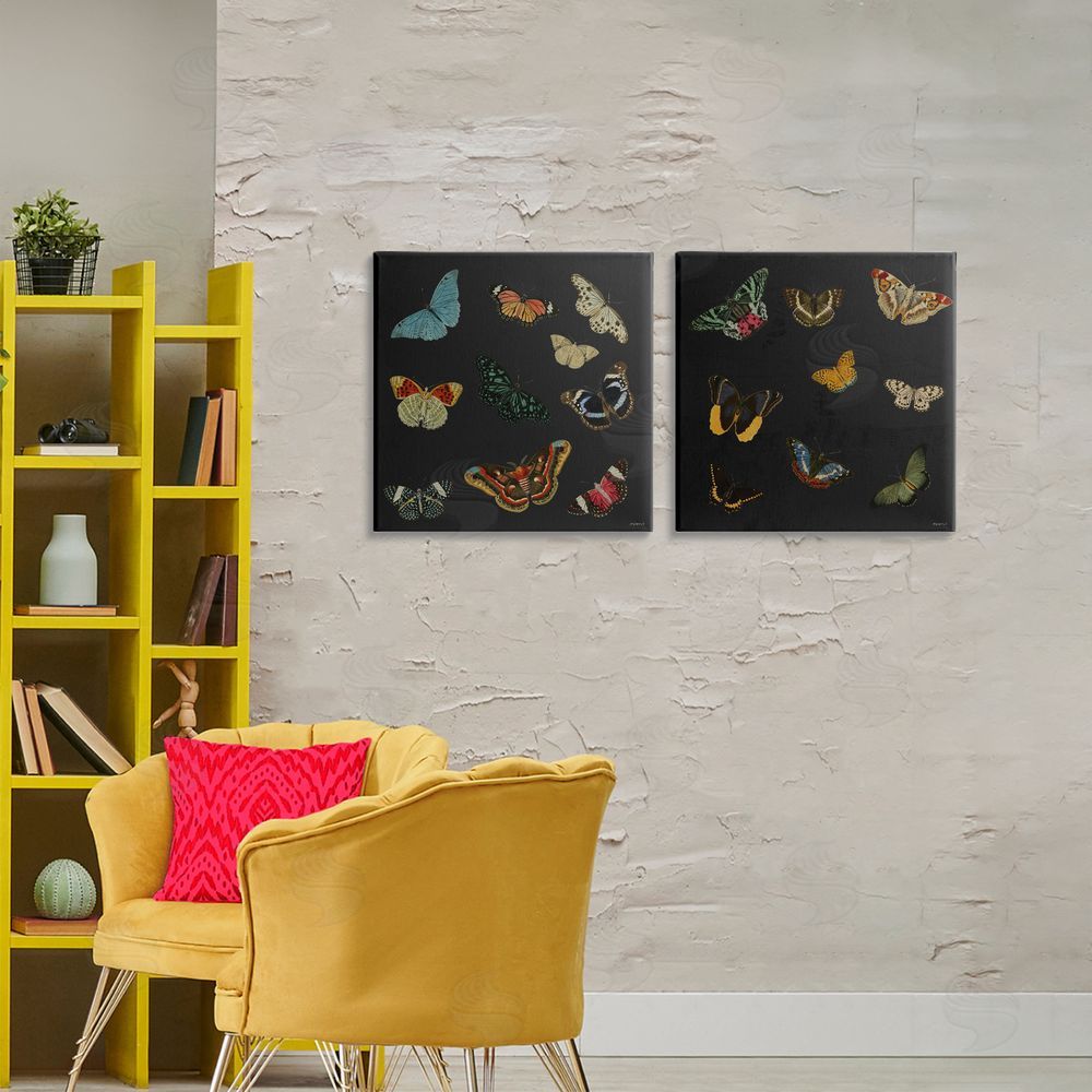 Sundance Graphics Entomology Collection on Black Canvas Wall Art Print in Room