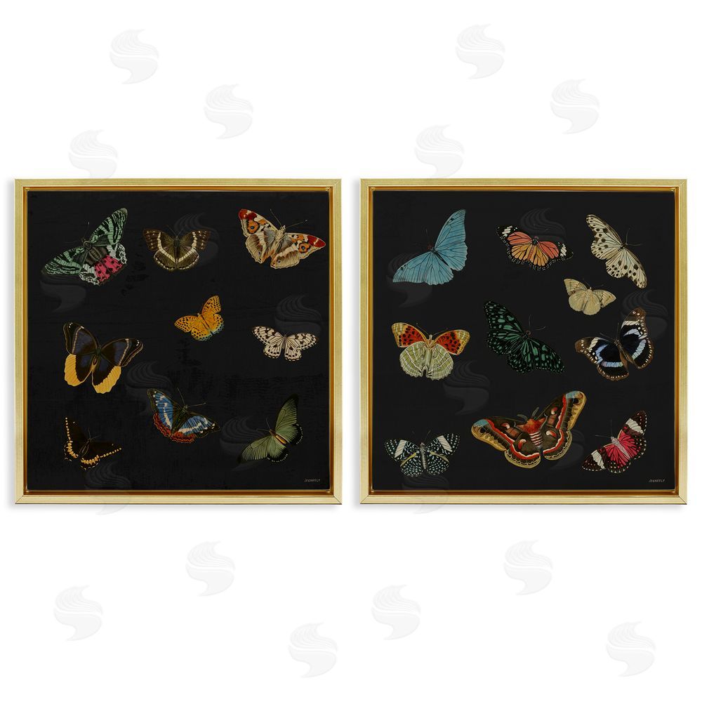 Sundance Graphics Entomology Collection on Black Gold Floating Frame Canvas Wall Art Print