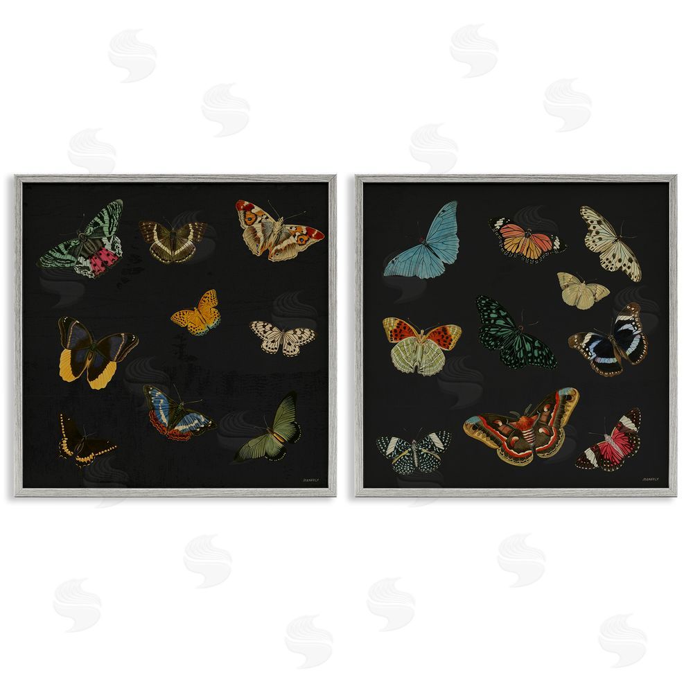Sundance Graphics Entomology Collection on Black Gray Framed Giclee Wall Art Print