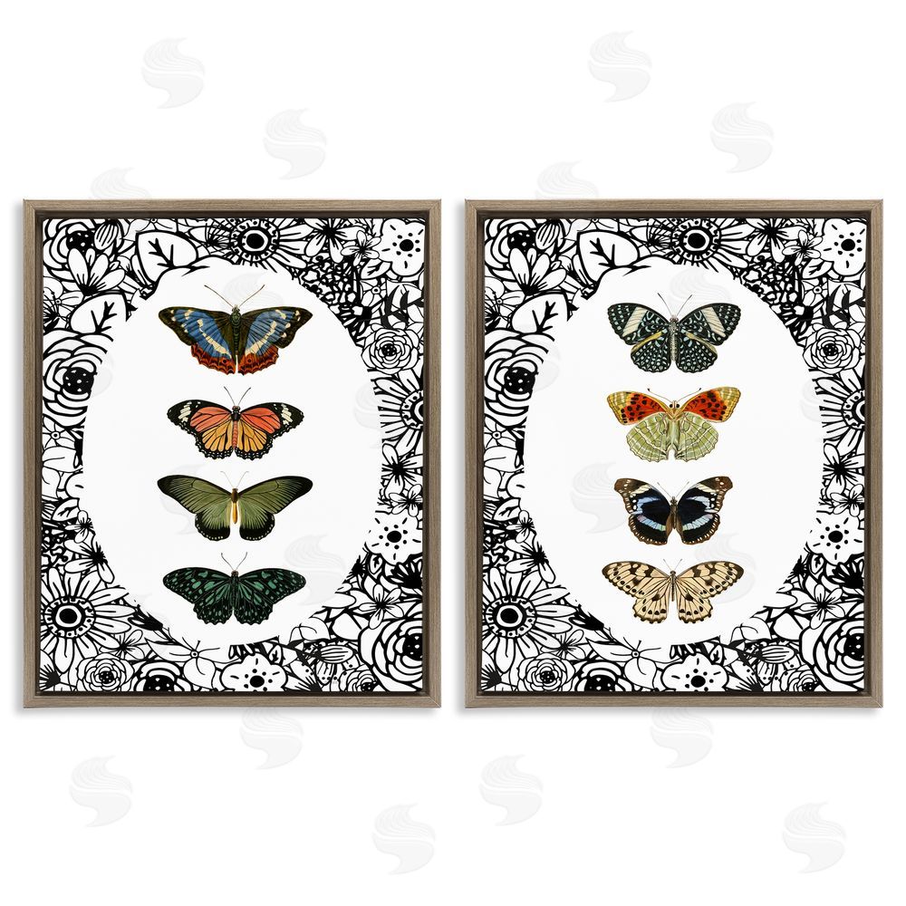 Sundance Graphics Floral Butterflies Lineup Brown Floating Frame Canvas Wall Art Print