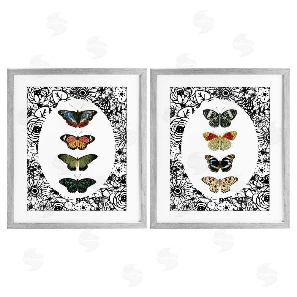 Sundance Graphics Floral Butterflies Lineup Gray Framed Print Under Glass Wall Art