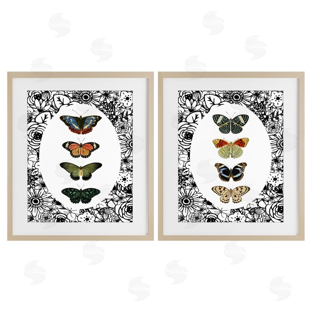 Sundance Graphics Floral Butterflies Lineup Birch Framed Print Under Glass Wall Art
