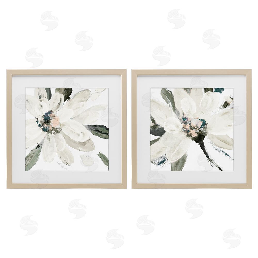 Sundance Graphics Naturally Blooming White Flowers Birch Framed Print Under Glass Wall Art