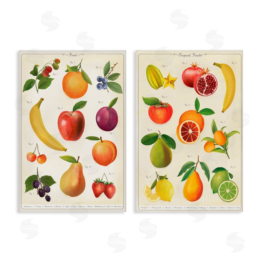 Diane Neukirch Kitchen Studies Fruit Stretched Canvas Wall Art