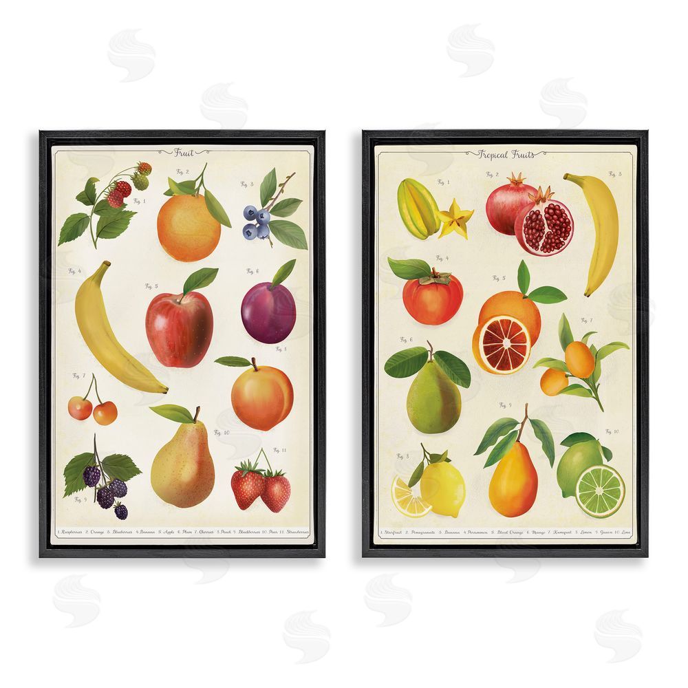 Diane Neukirch Kitchen Studies Fruit Black Floating Framed Canvas Wall Art