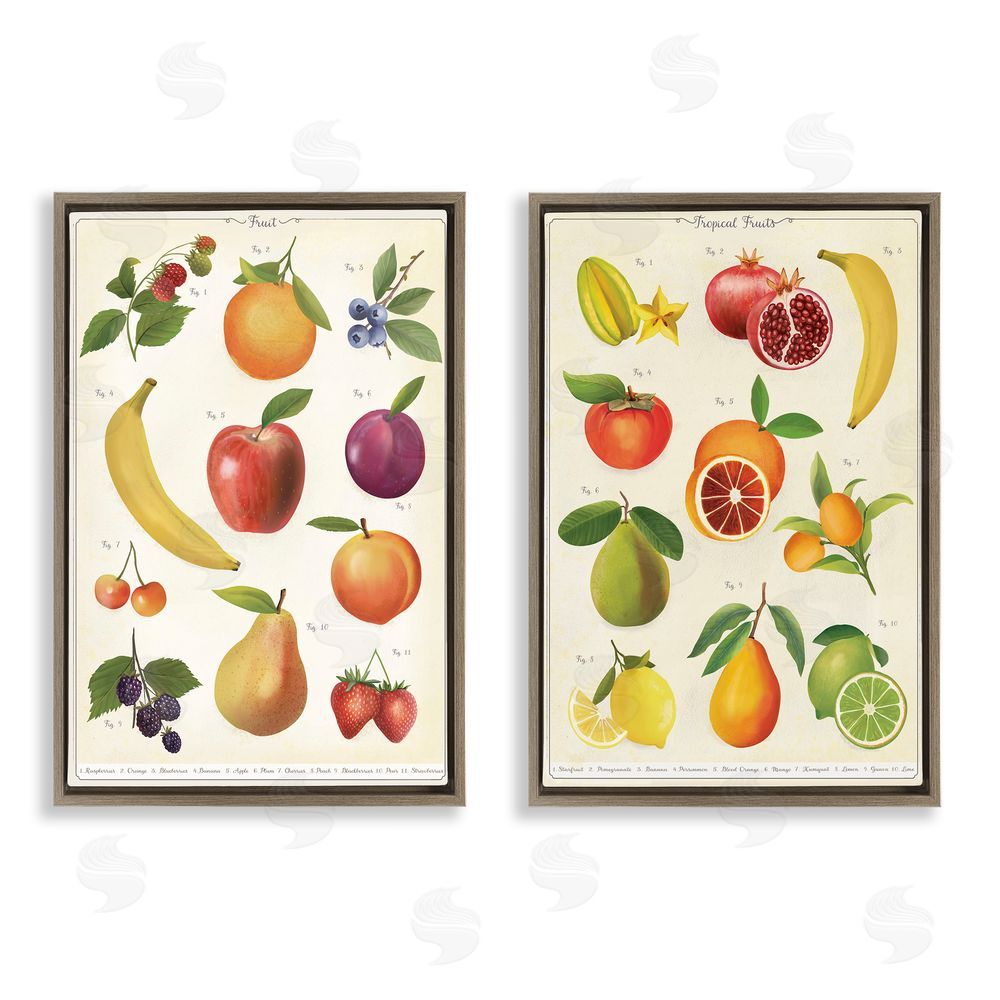 Diane Neukirch Kitchen Studies Fruit Brown Floating Framed Canvas Wall Art