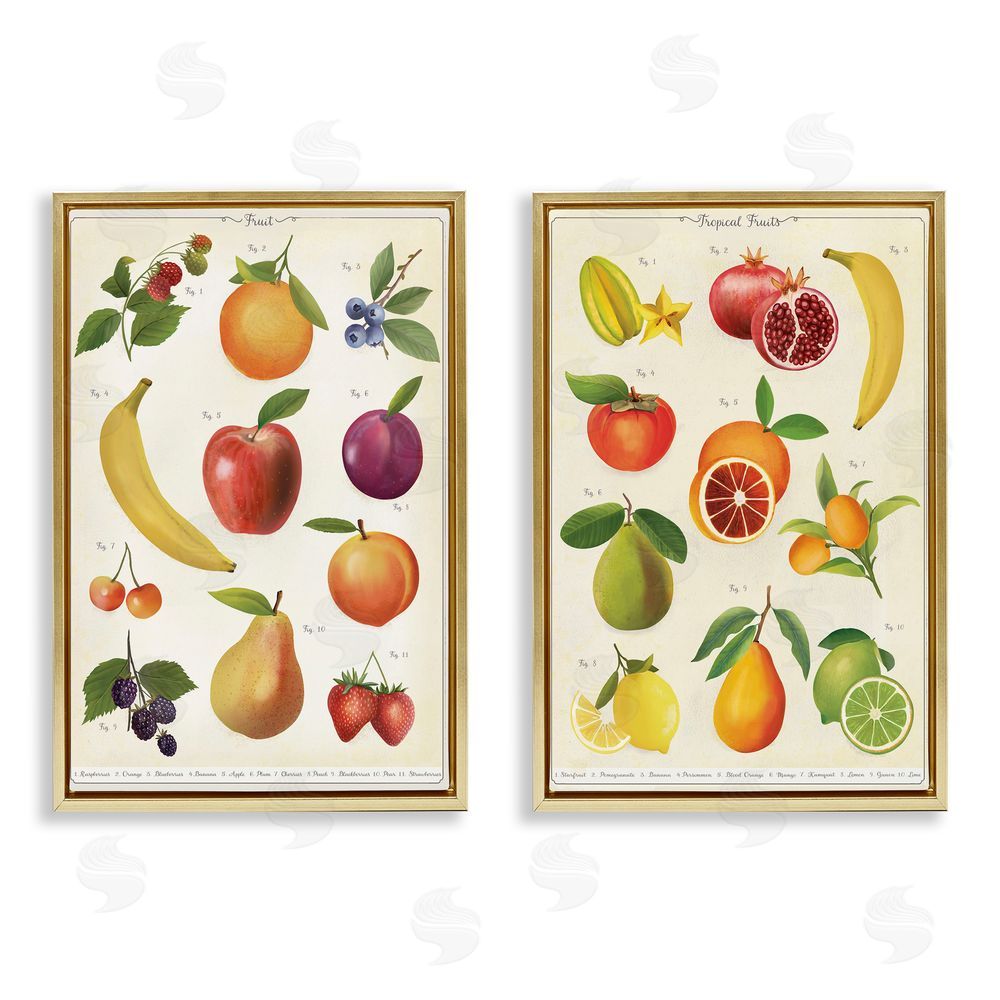 Diane Neukirch Kitchen Studies Fruit Gold Floating Framed Canvas Wall Art