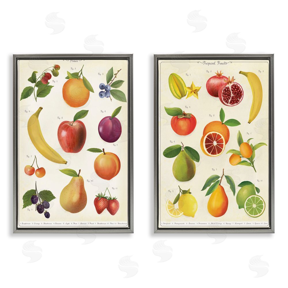 Diane Neukirch Kitchen Studies Fruit Gray Floating Framed Canvas Wall Art