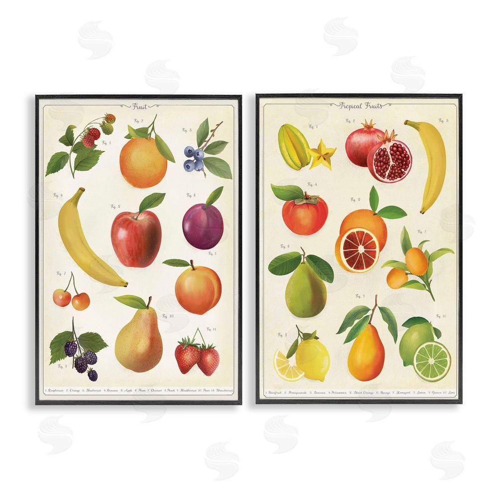 Diane Neukirch Kitchen Studies Fruit Black Framed Giclee Wall Art