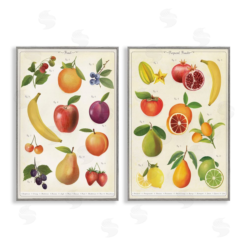 Diane Neukirch Kitchen Studies Fruit Gray Framed Giclee Wall Art