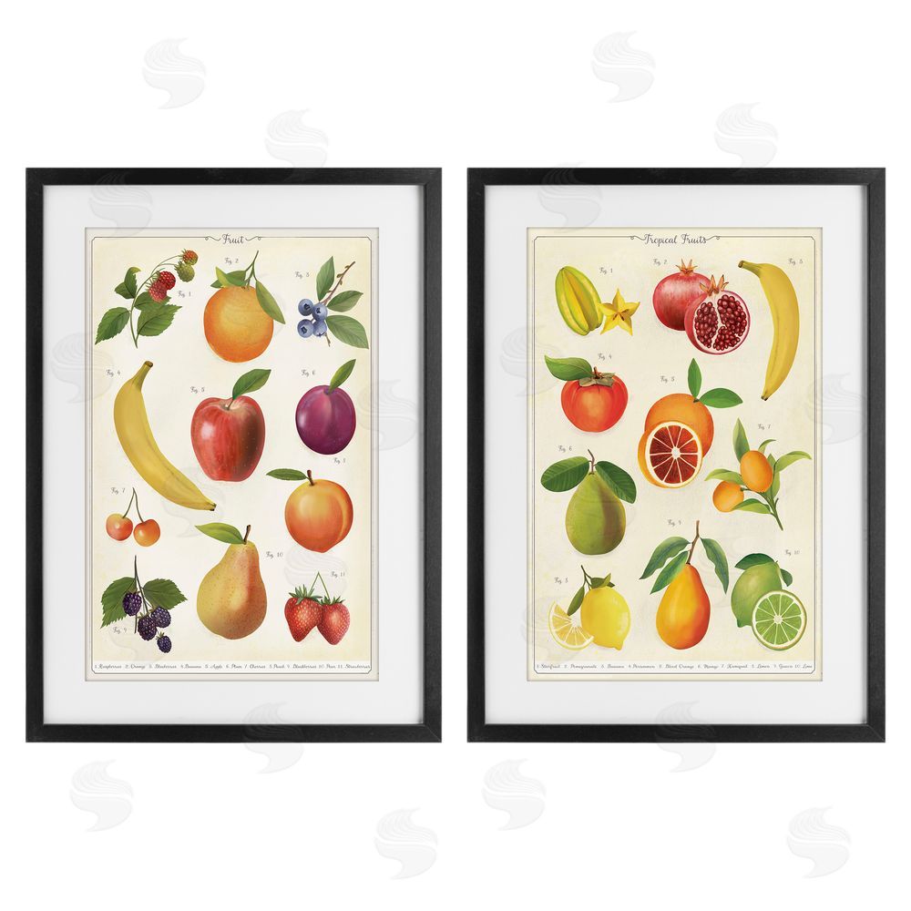 Diane Neukirch Kitchen Studies Fruit Black Framed Print Under Glass Wall Art