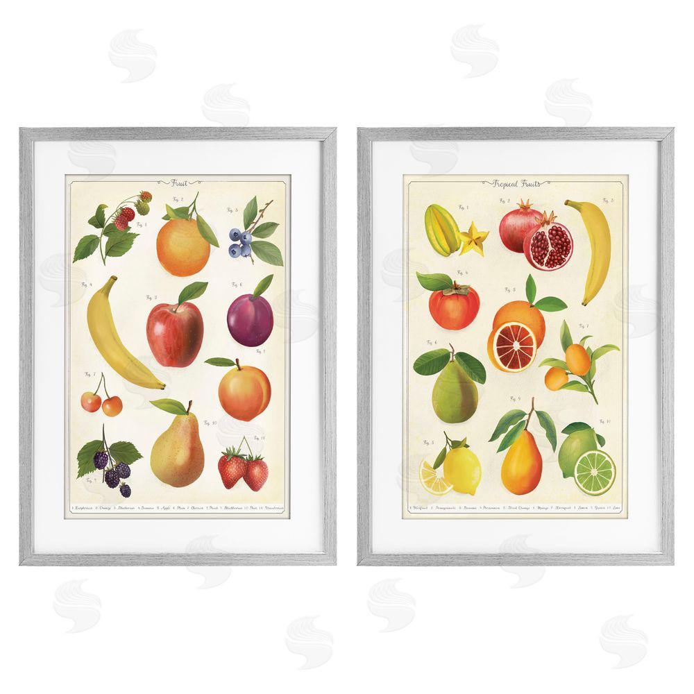 Diane Neukirch Kitchen Studies Fruit Gray Framed Print Under Glass Wall Art