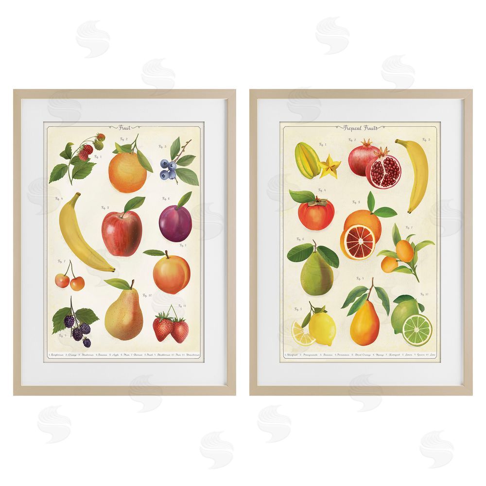 Diane Neukirch Kitchen Studies Fruit Brown Framed Print Under Glass Wall Art