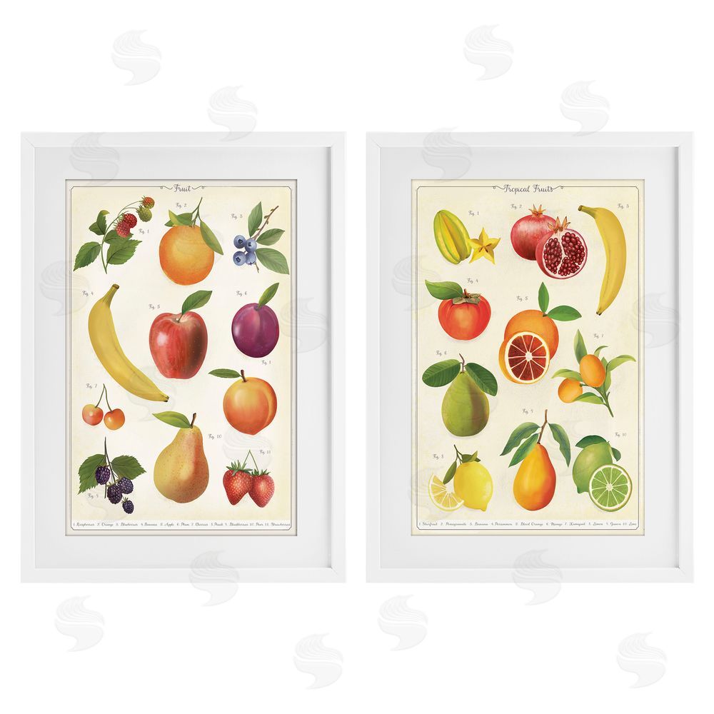 Diane Neukirch Kitchen Studies Fruit White Framed Print Under Glass Wall Art