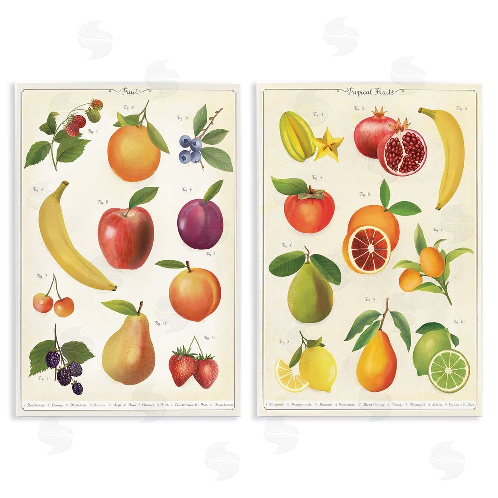 Diane Neukirch Kitchen Studies Fruit Wall Plaque Home Decor Art Print
