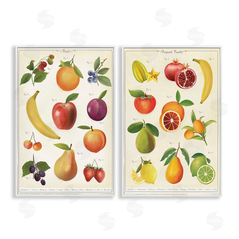 Diane Neukirch Kitchen Studies Fruit White Framed Giclee Wall Art
