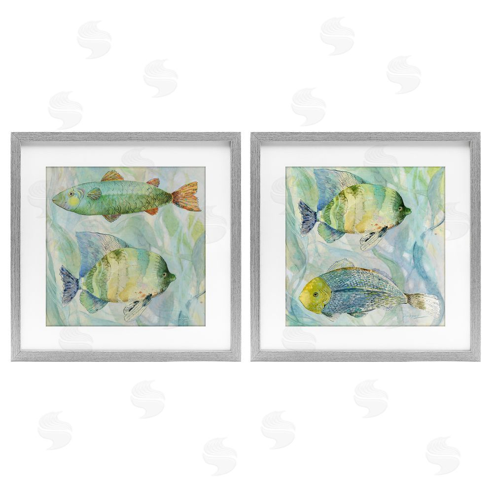 Lorenzo Collective Sweet Fish Aquatics Gray Framed Print Under Glass with White Mat Wall Art