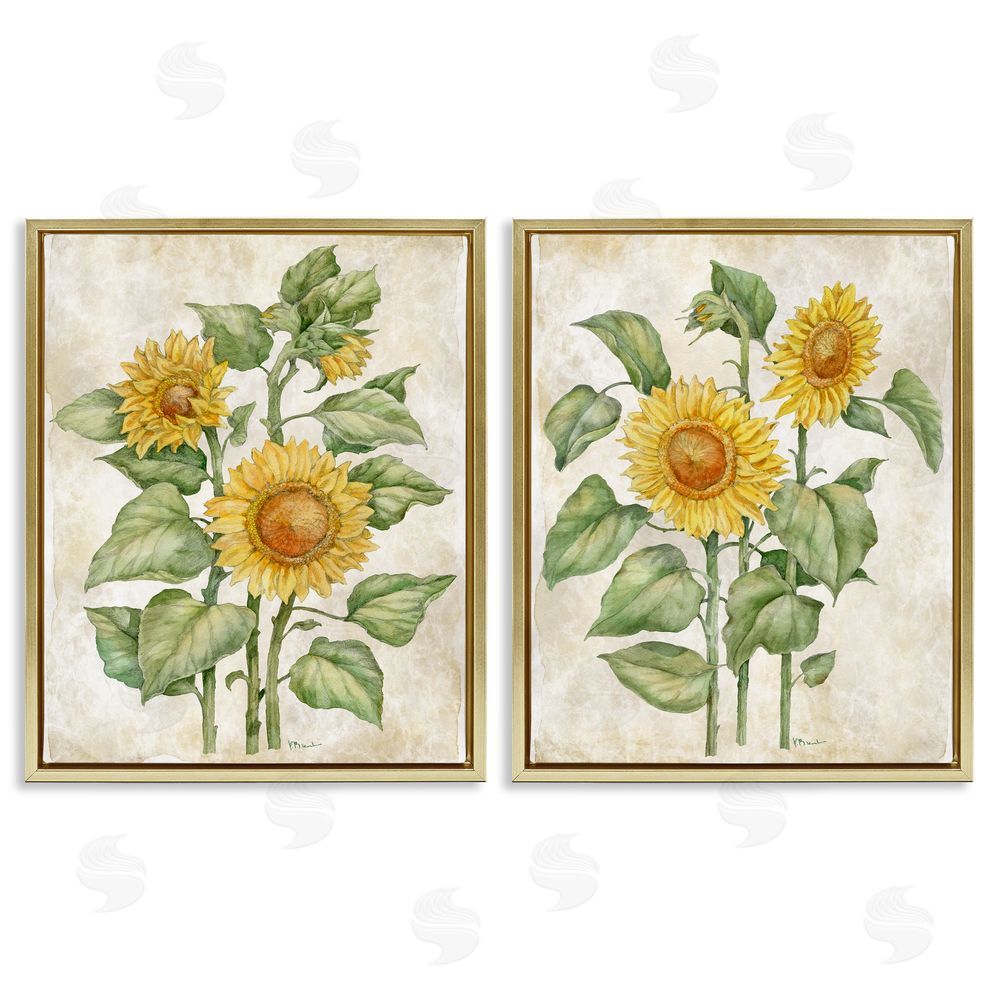 Paul Brent Floral Journal Sunflower Studies Gold Floating Framed Canvas Wall Art