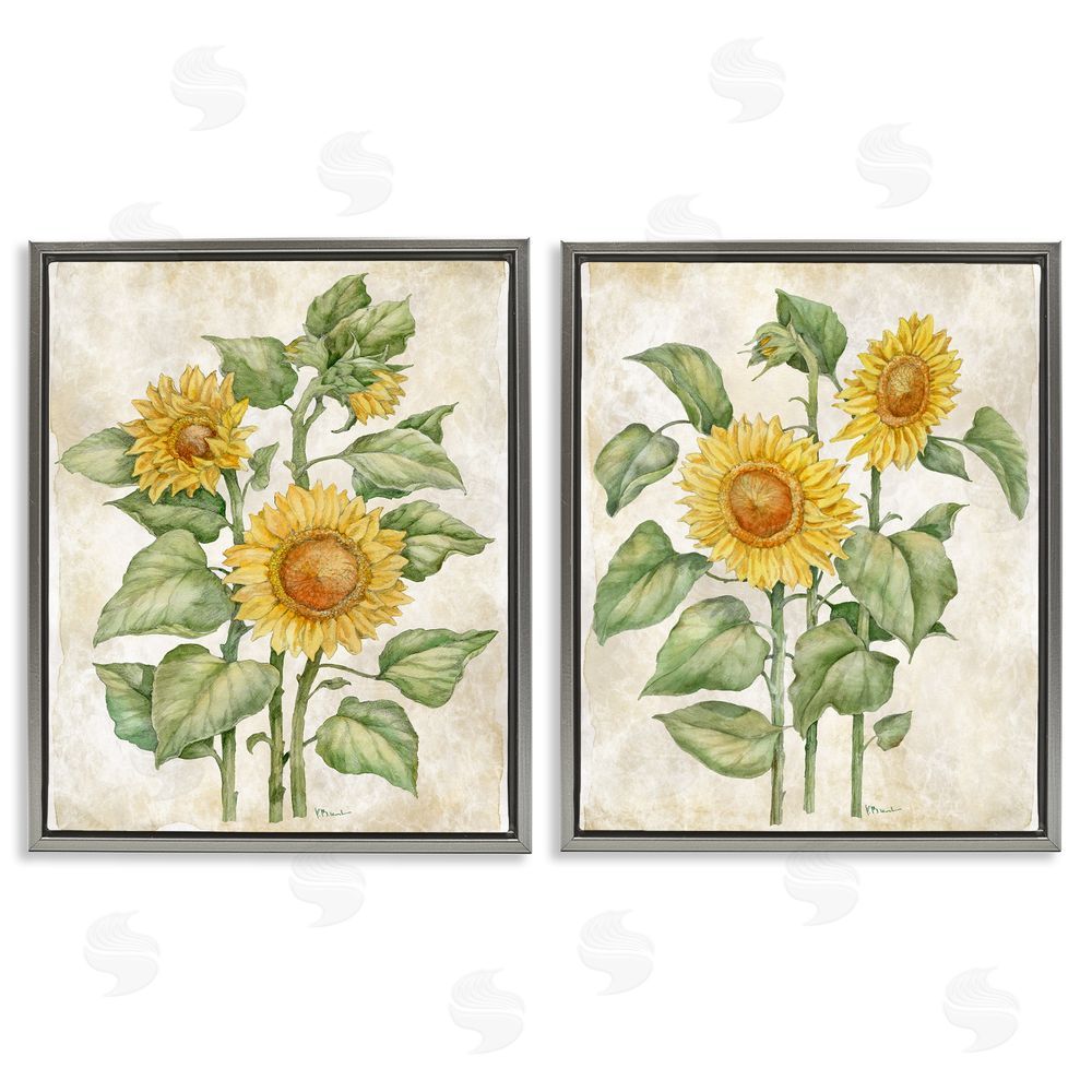 Paul Brent Floral Journal Sunflower Studies Gray Floating Framed Canvas Wall Art