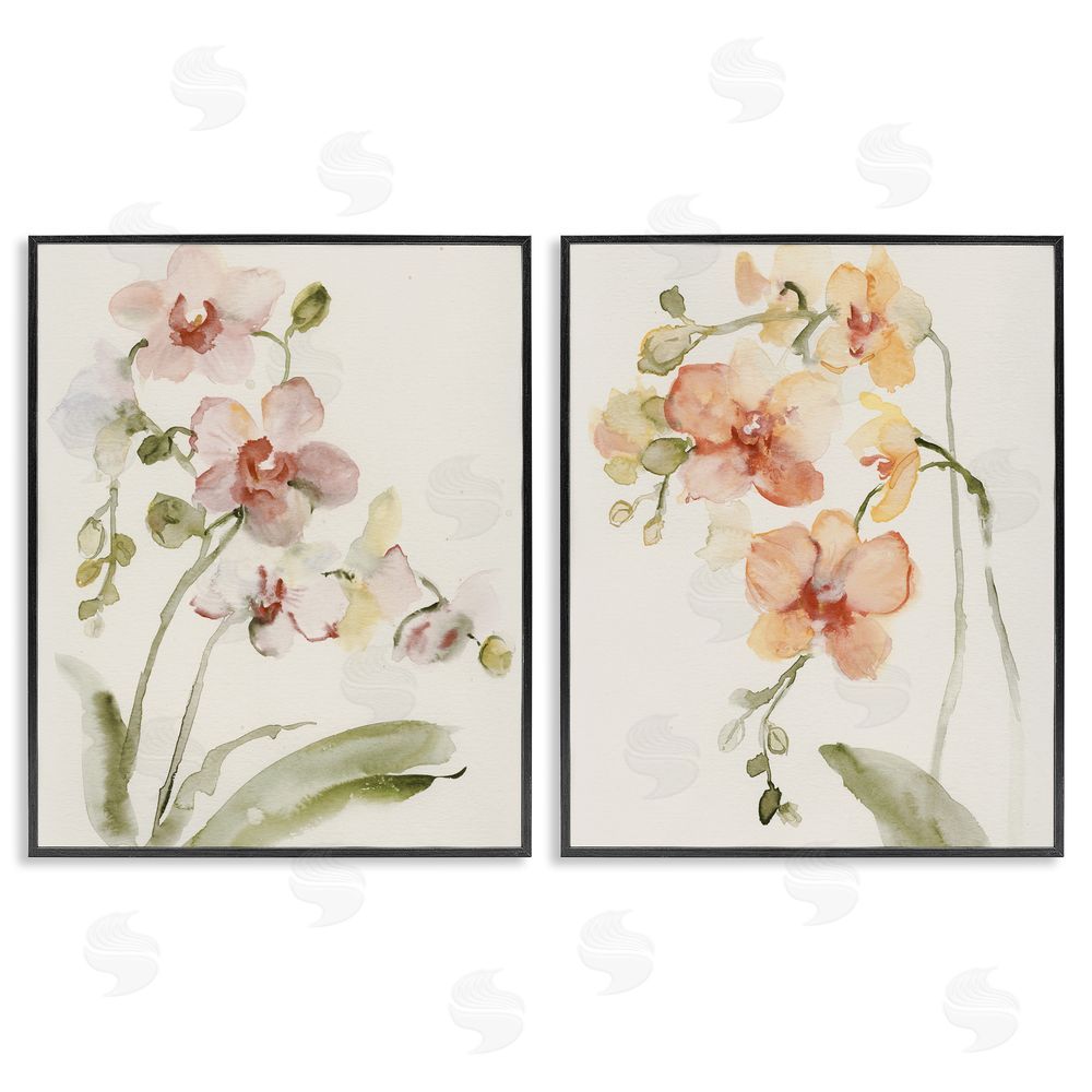Victoria Barnes Delicate Orchids in Bloom Black Framed Giclee Wall Art Print