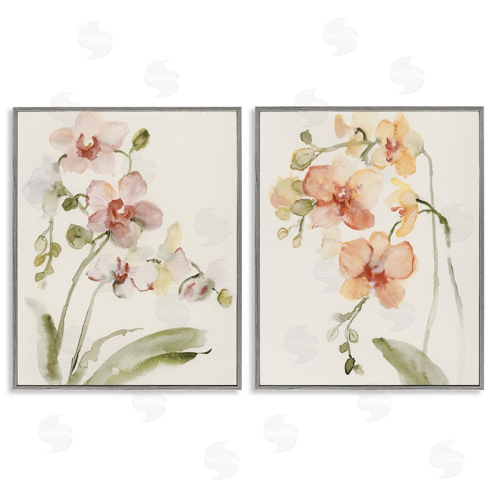 Victoria Barnes Delicate Orchids in Bloom Gray Framed Giclee Wall Art Print