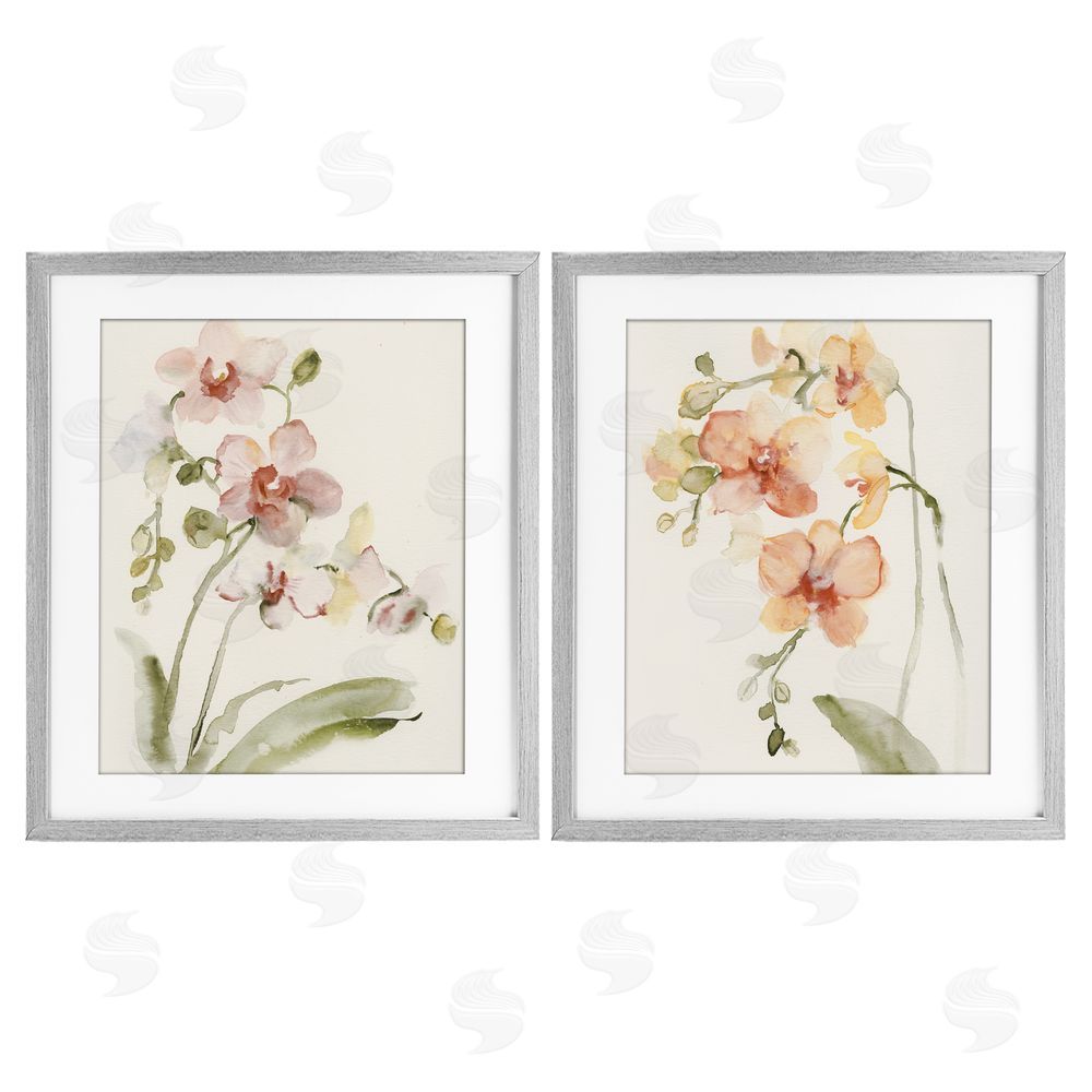Victoria Barnes Delicate Orchids in Bloom Gray Framed Print Under Glass Wall Art