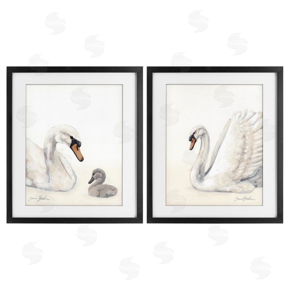 Sara Baker Graceful Swan & Cygnet Black Framed Print Under Glass Wall Art