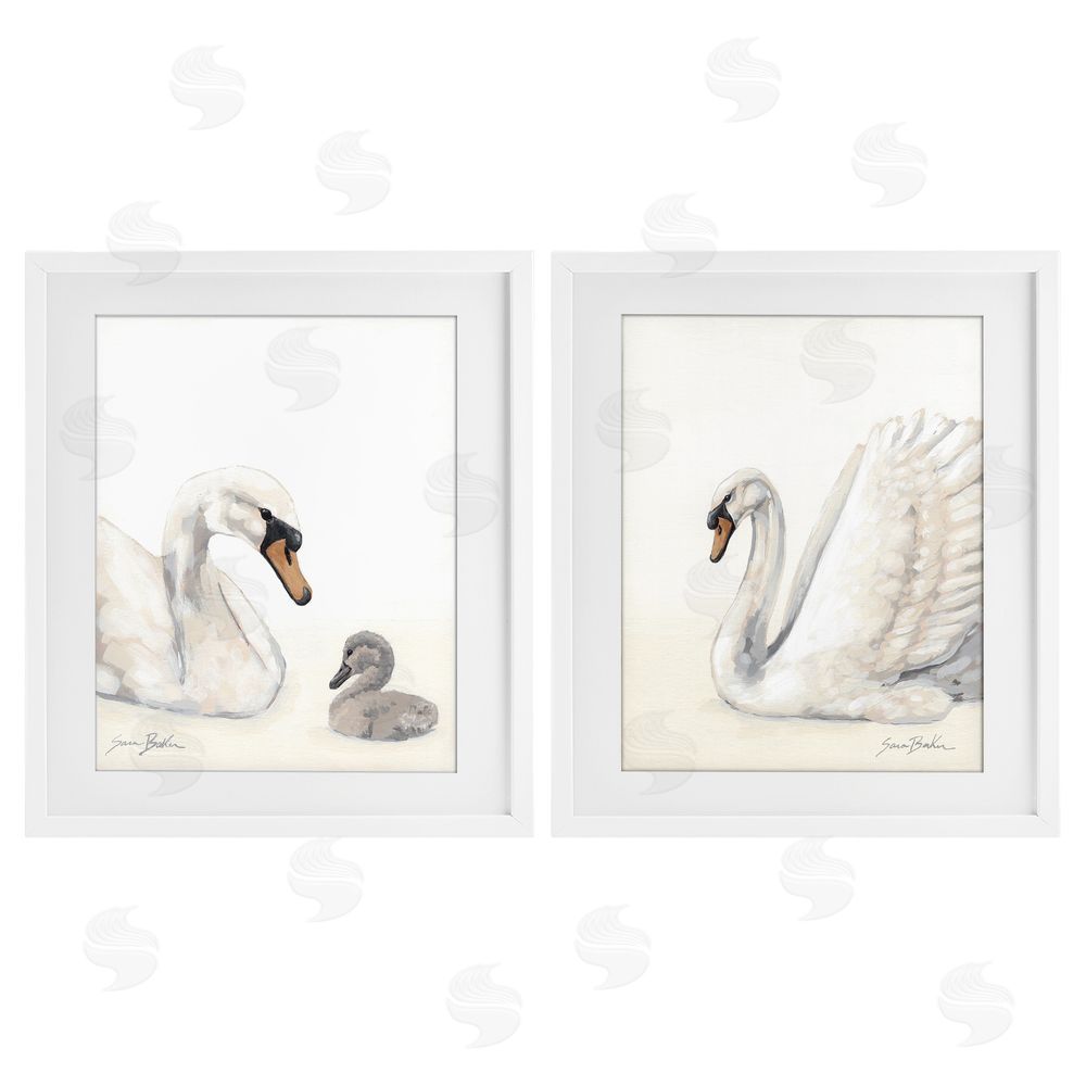 Sara Baker Graceful Swan & Cygnet White Framed Print Under Glass Wall Art