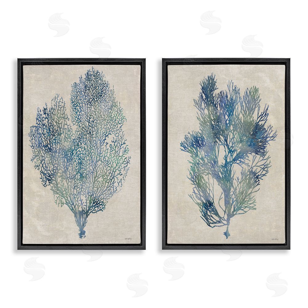 Amber Sterling Fan Coral Study in Blues Black Floating Framed Canvas Wall Art