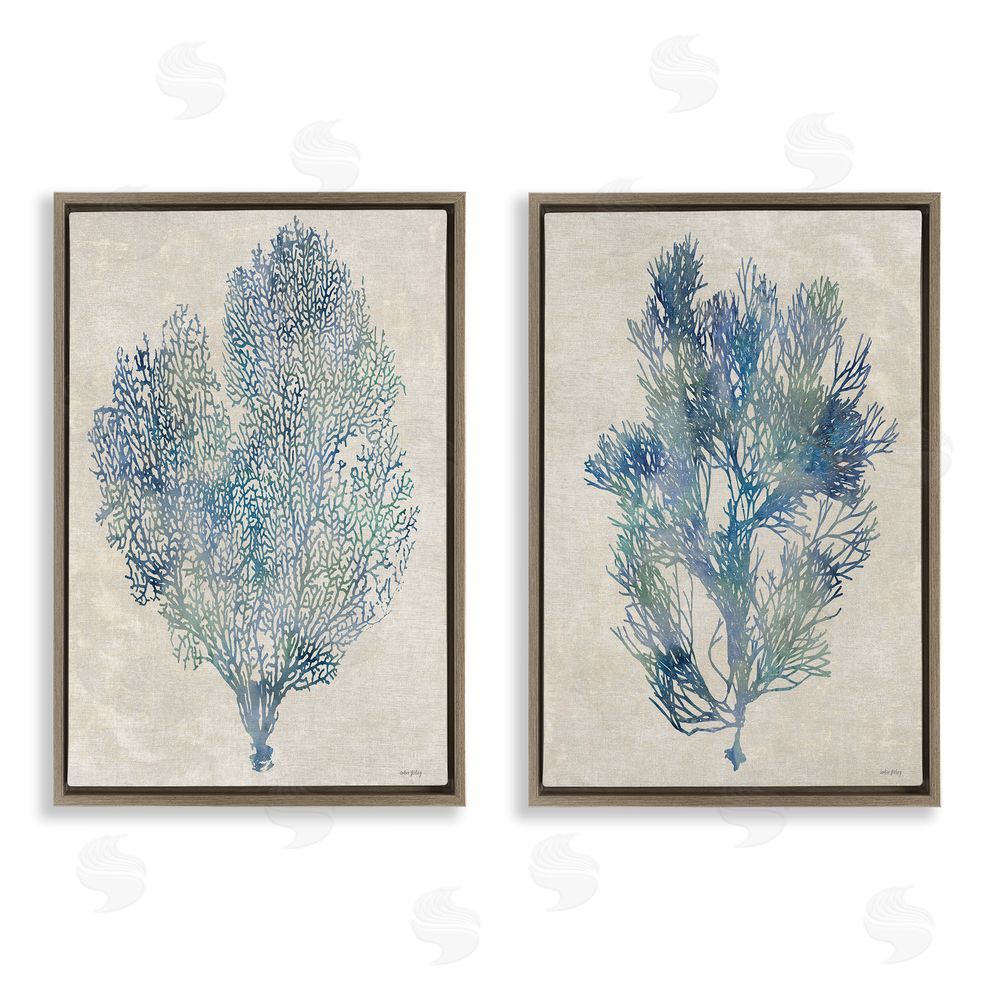Amber Sterling Fan Coral Study in Blues Brown Floating Framed Canvas Wall Art