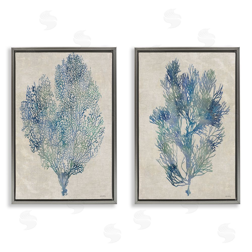 Amber Sterling Fan Coral Study in Blues Gray Floating Framed Canvas Wall Art