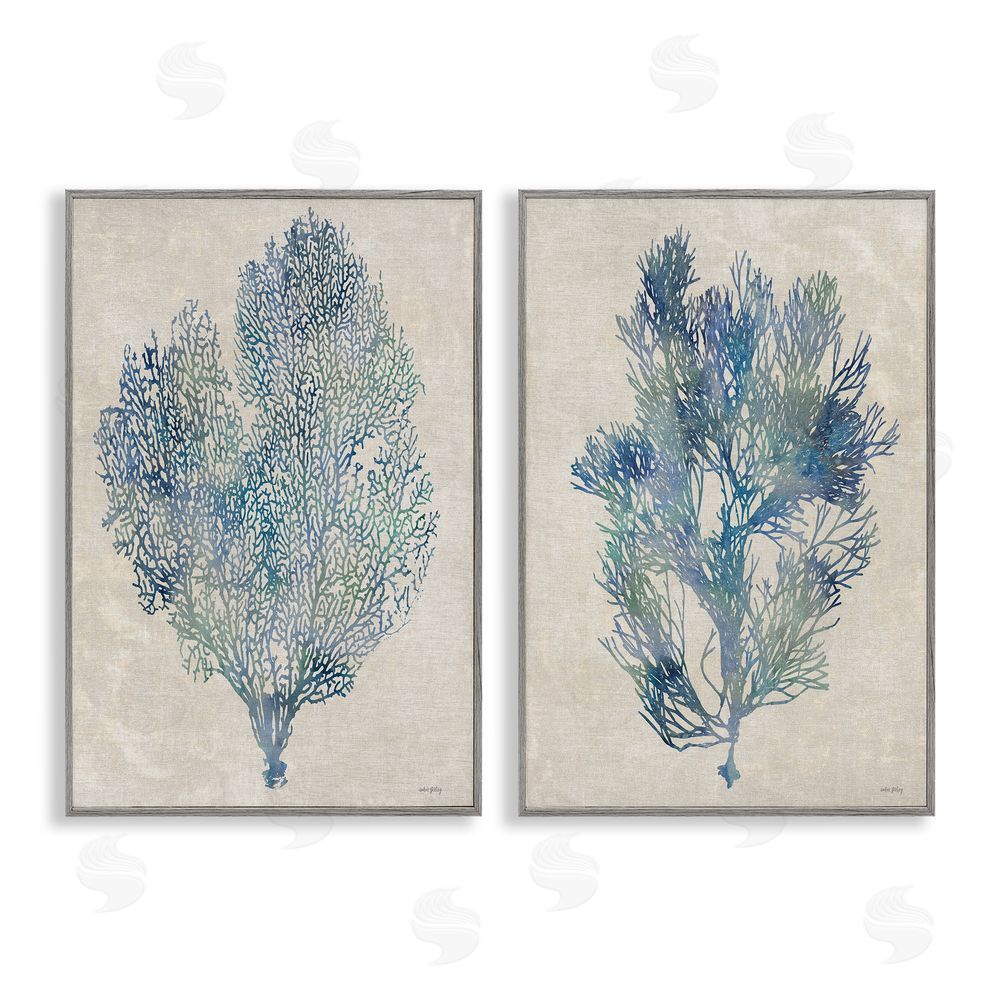 Amber Sterling Fan Coral Study in Blues Gray Framed Giclee Wall Art