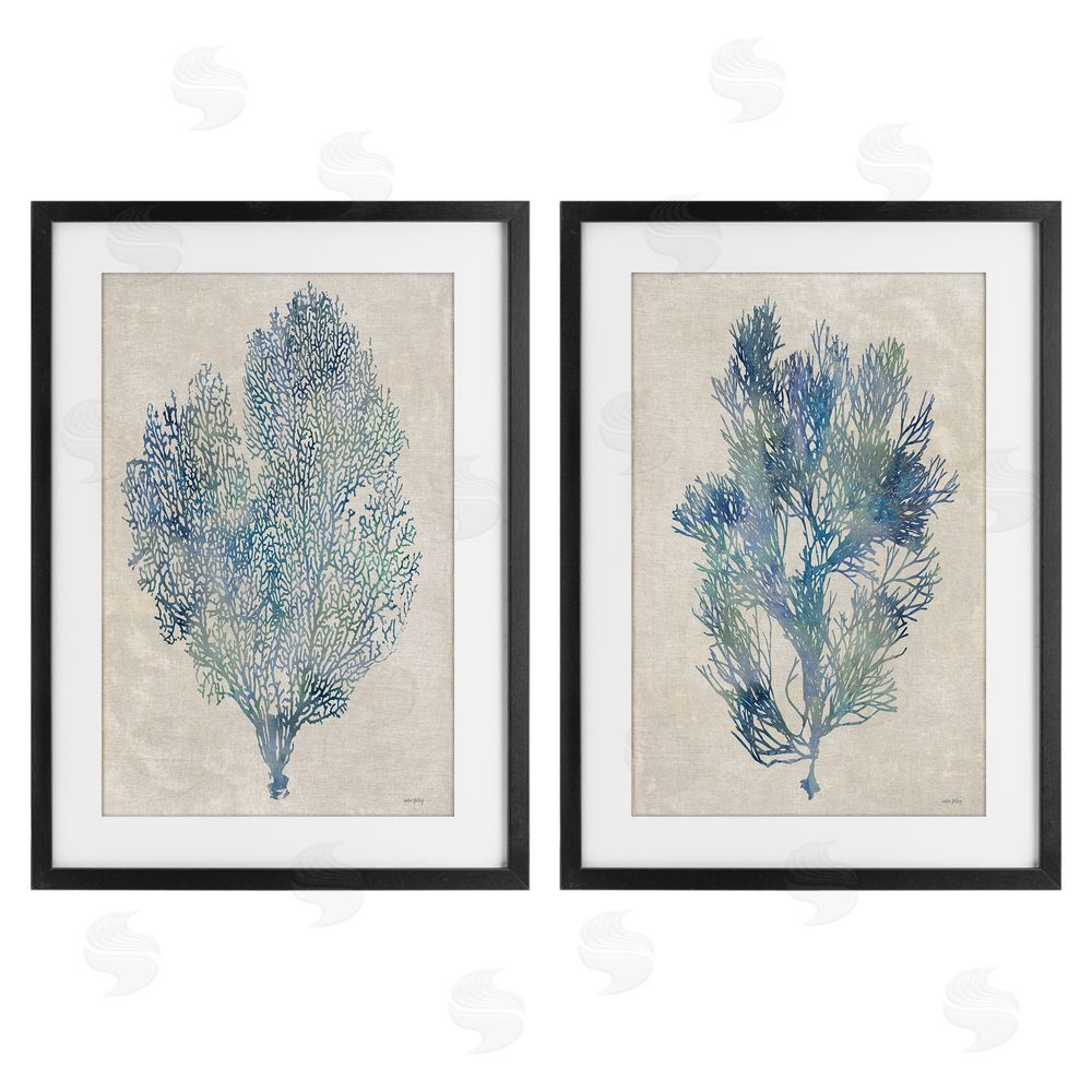 Amber Sterling Fan Coral Study in Blues Black Framed Print Under Glass Wall Art