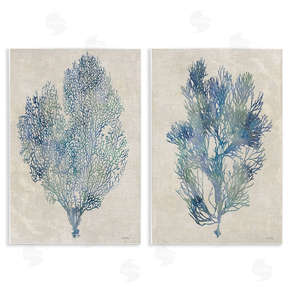 Amber Sterling Fan Coral Study in Blues Wall Plaque Home Decor Art Print