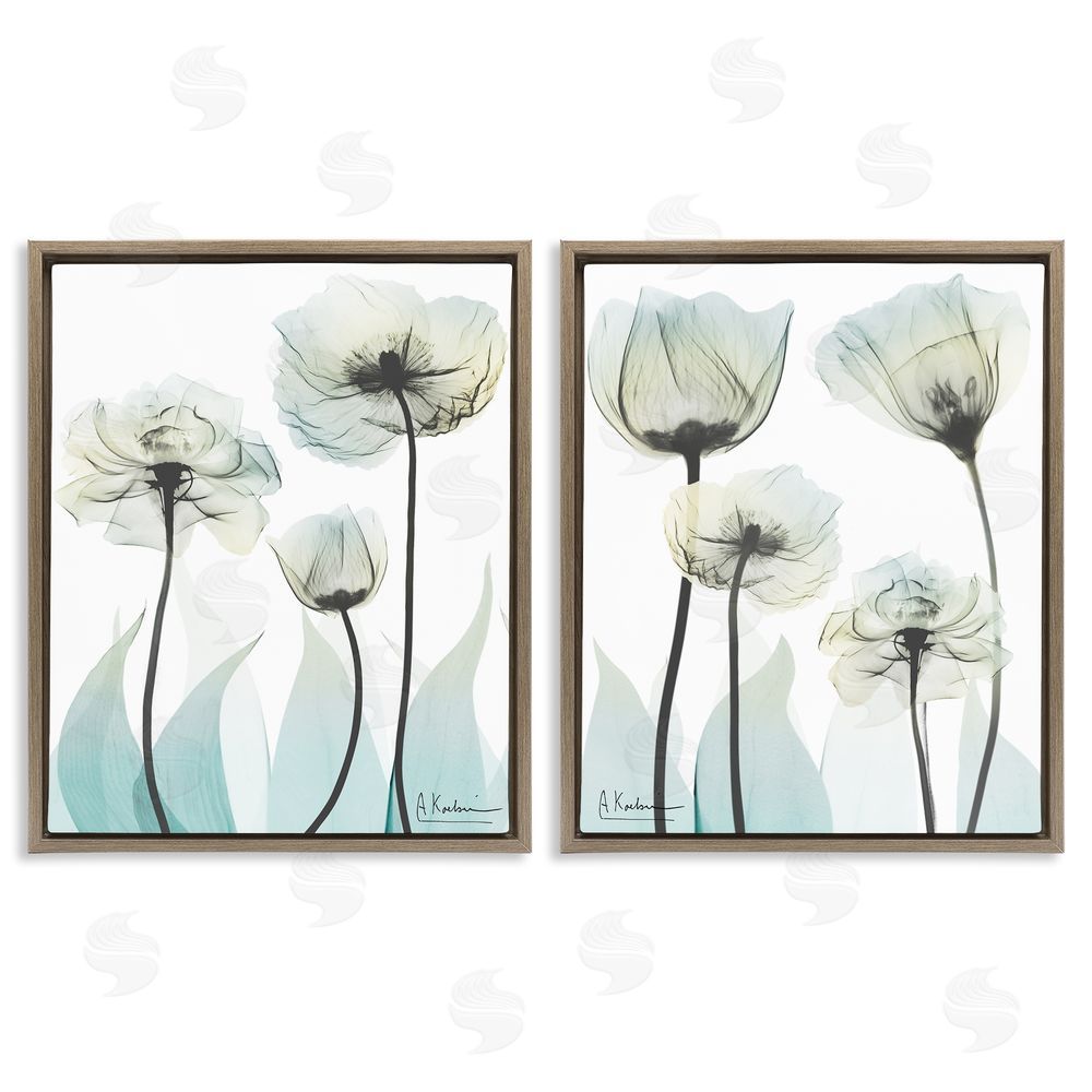 Albert Koetsier Luxury Of Creation Flowers Brown Floating Frame Canvas Wall Art Print
