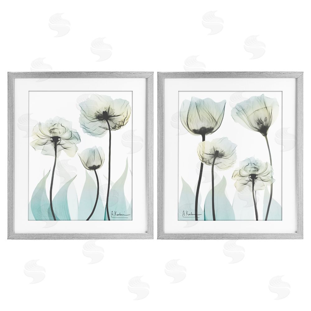 Albert Koetsier Luxury Of Creation Flowers Gray Framed Print Under Glass Wall Art