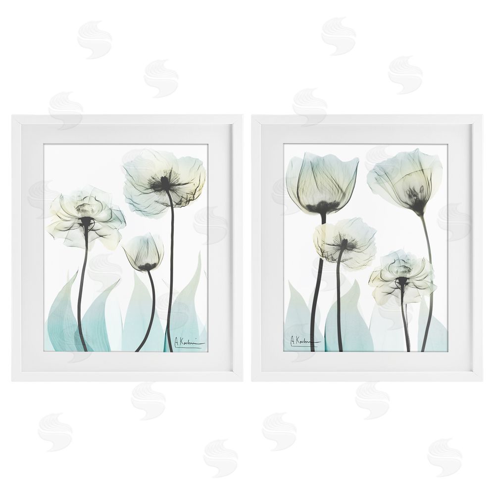 Albert Koetsier Luxury Of Creation Flowers White Framed Print Under Glass Wall Art