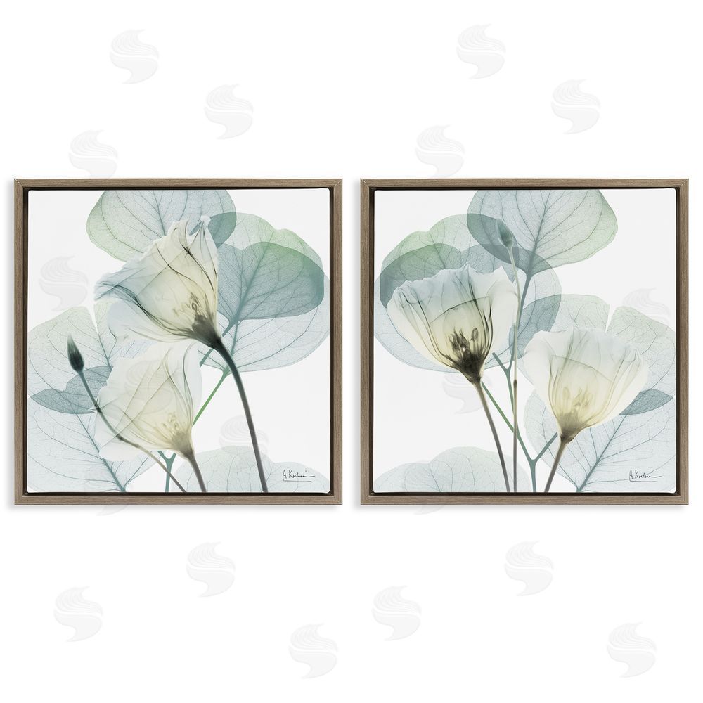 Albert Koetsier Divine Fate Flowers Brown Floating Frame Canvas Wall Art Print