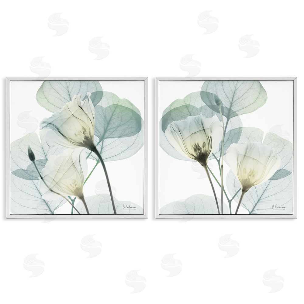 Albert Koetsier Divine Fate Flowers White Framed Giclee Wall Art Print