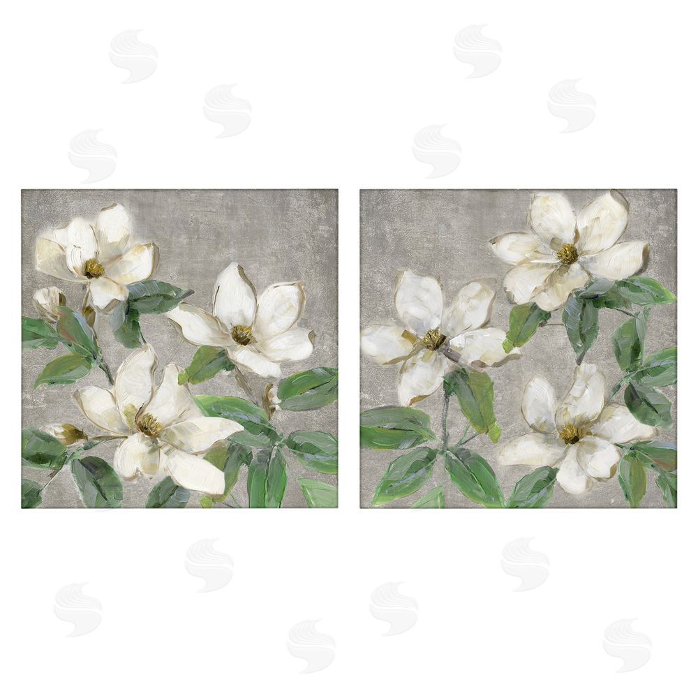 Sally Swatland Blooming Ivory Magnolias Stretched Canvas Wall Art Print