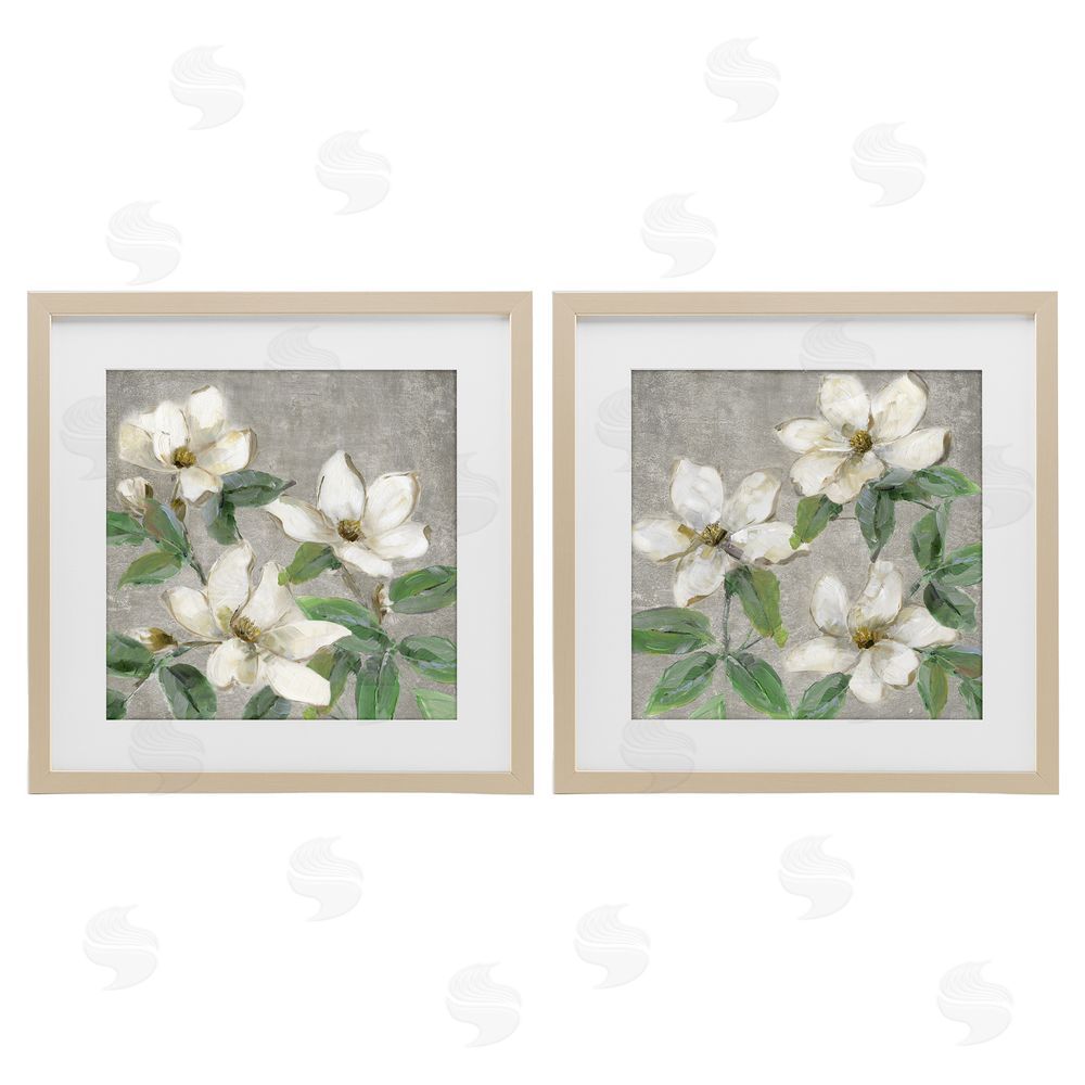Sally Swatland Blooming Ivory Magnolias Brown Framed Print Under Glass Wall Art