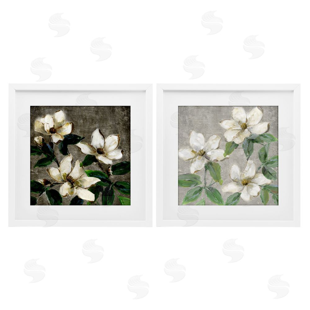 Sally Swatland Blooming Ivory Magnolias White Framed Print Under Glass Wall Art