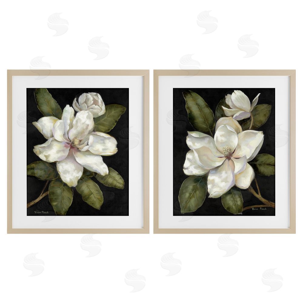 Nan Magnolia Buds & Blooms Brown Framed Print Under Glass Wall Art