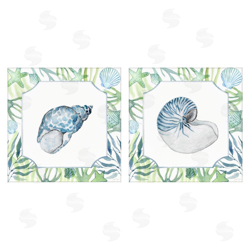 Janet Tava Seaweed Bordered Seashells Stretched Canvas Wall Art Print