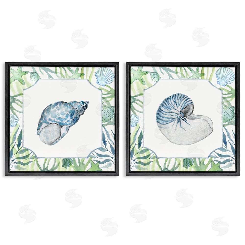 Janet Tava Seaweed Bordered Seashells Black Floating Frame Canvas Wall Art Print