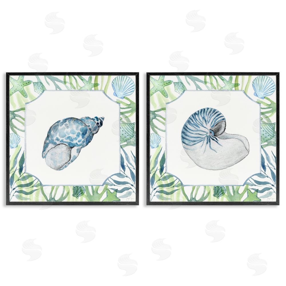 Janet Tava Seaweed Bordered Seashells Black Framed Giclee Wall Art Print