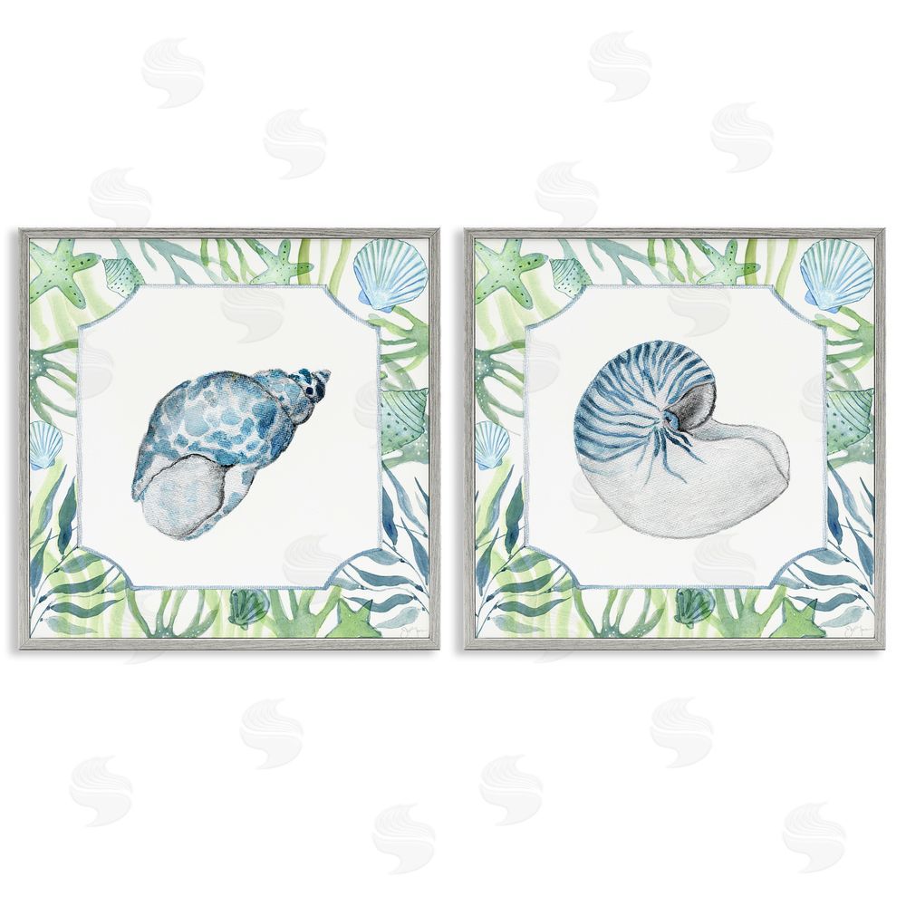 Janet Tava Seaweed Bordered Seashells Gray Framed Giclee Wall Art Print